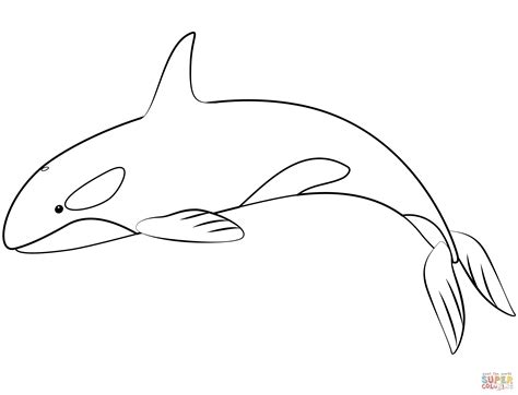 orca para dibujar|orca del mar dibujos.